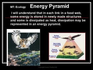 Energy pyramid example