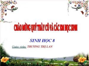 SINH HC 8 Giao vien TRNG TH LAN