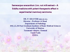 Semecarpus anacardium Linn nut milk extract A Siddha