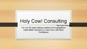 Holy cow consulting cat