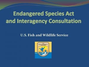 Endangered Species Act and Interagency Consultation U S