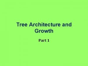 Tree architecture