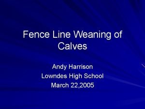 Fence Line Weaning of Calves Andy Harrison Lowndes