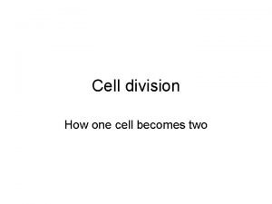 Cell division How one cell becomes two Mitosis