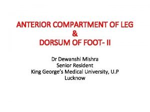 Anterior compartment of leg