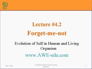 Lecture 4 2 Forgetmenot Evolution of Self in