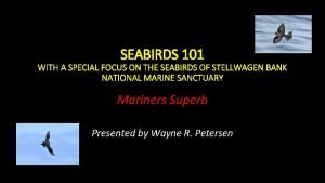 SEABIRDS 101 WITH A SPECIAL FOCUS ON THE