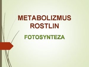 METABOLIZMUS ROSTLIN rostliny mrnho psu akceptorem CO 2