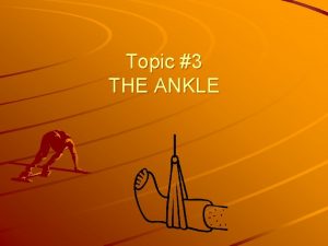 Topic 3 THE ANKLE The ankle is a