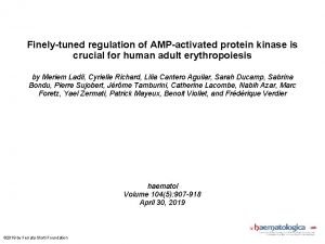 Finelytuned regulation of AMPactivated protein kinase is crucial