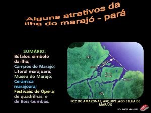 SUMRIO Bfalos smbolo da ilha Campos do Maraj