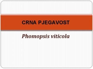 CRNA PJEGAVOST Phomopsis viticola CRNA PJEGAVOST Phomopsis viticola