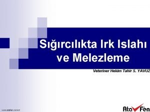 Srclkta Irk Islah ve Melezleme Veteriner Hekim Tahir