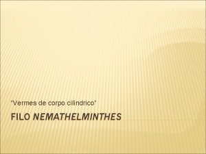 Vermes de corpo cilndrico FILO NEMATHELMINTHES CARACTERSTICAS GERAIS