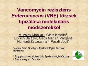 Vancomycin rezisztens Enterococcus VRE trzsek tipizlsa molekulris mdszerekkel