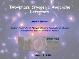 Twophase Cryogenic Avalanche Detectors Andrey Sokolov Budker Institute