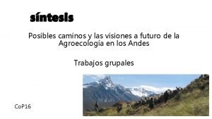 sntesis Posibles caminos y las visiones a futuro