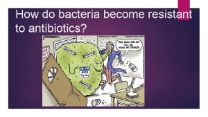 How do bacteria become resistant to antibiotics Antibiotic