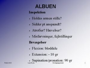 ALBUEN Inspektion Holdes armen stille Sidder pt anspndt