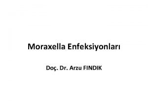 Moraxella Enfeksiyonlar Do Dr Arzu FINDIK Etiyoloji Moraxellaceae