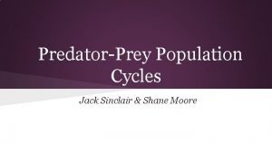 PredatorPrey Population Cycles Jack Sinclair Shane Moore Linearization