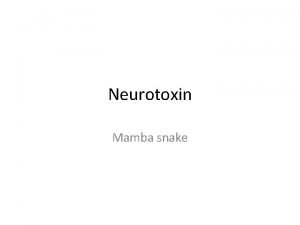 Neurotoxin Mamba snake Why Fasciculin Mambas have only