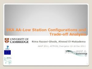 SKA AALow Station Configurations and Tradeoff Analysis Nima