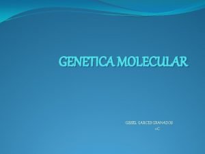 GENETICA MOLECULAR GISSEL GARCES GRANADOS 11 C GENETICA