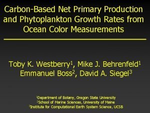 CarbonBased Net Primary Production and Phytoplankton Growth Rates