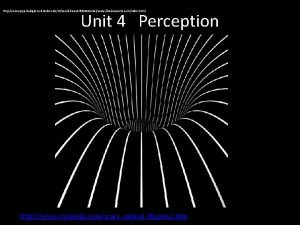 Perceptual constancy