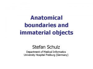 Anatomical boundaries and immaterial objects Stefan Schulz Department