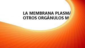 LA MEMBRANA PLASMTICA Y OTROS ORGNULOS MEMBRAN COMPOSICIN