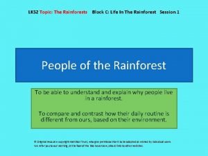 LKS 2 Topic The Rainforests Block C Life