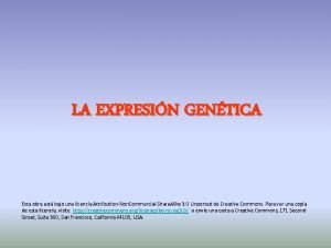 LA EXPRESIN GENTICA Esta obra est bajo una