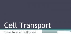 Cell Transport Passive Transport and Osmosis Cell Size