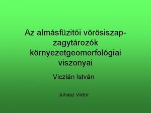 Az almsfziti vrsiszapzagytrozk krnyezetgeomorfolgiai viszonyai Viczin Istvn Juhsz