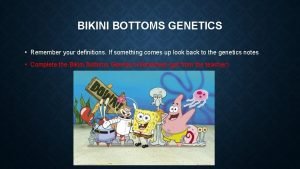 Bikini bottoms genetics