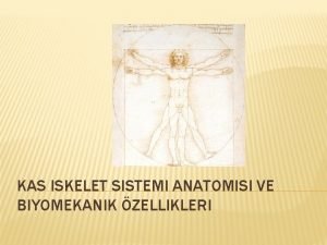 KAS ISKELET SISTEMI ANATOMISI VE BIYOMEKANIK ZELLIKLERI BIYOMEKANIK