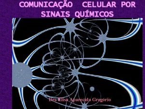 COMUNICAO CELULAR POR SINAIS QUMICOS Dra Elisa Aparecida