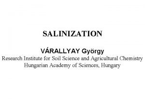 SALINIZATION VRALLYAY Gyrgy Research Institute for Soil Science