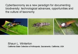 Cybertaxonomy as a new paradigm for documenting biodiversity