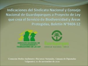 Indicaciones del Sindicato Nacional y Consejo Nacional de