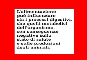 PATOLOGIA NUTRIZIONALE Un certo numero di malattie trova