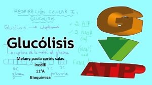 Melany paola corts salas Inedifi 11A Bioqumica q