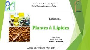 Universit Mohamed VAgdal Ecole Normale Suprieure Rabat Expos