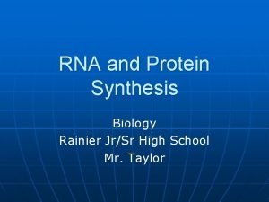 RNA and Protein Synthesis Biology Rainier JrSr High