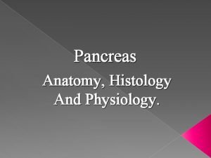 Pancreas anatomy histology