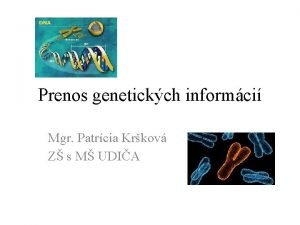 Prenos genetickch informci Mgr Patrcia Krkov Z s