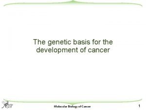 The genetic basis of cancer