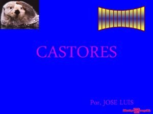 CASTORES Por JOSE LUIS Si el castor es